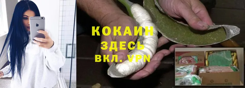hydra как зайти  Шенкурск  Cocaine Fish Scale 
