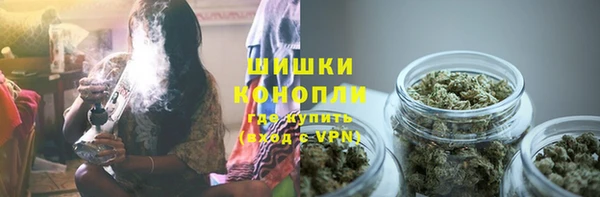 Альфа ПВП Лагань