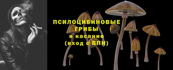Альфа ПВП Лагань