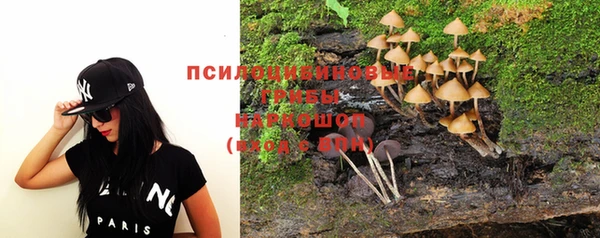 Альфа ПВП Лагань