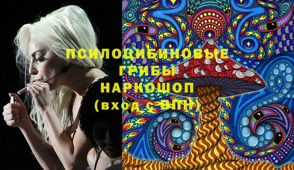 Альфа ПВП Лагань