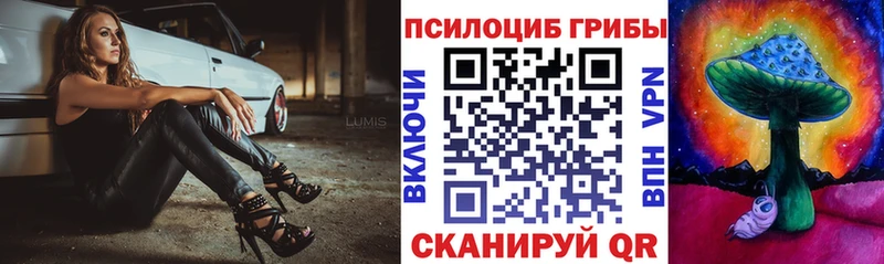 Галлюциногенные грибы мухоморы  дарнет шоп  blacksprut ССЫЛКА  Шенкурск 