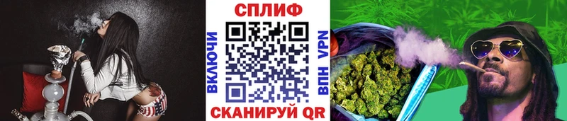 Бошки Шишки план  Шенкурск 
